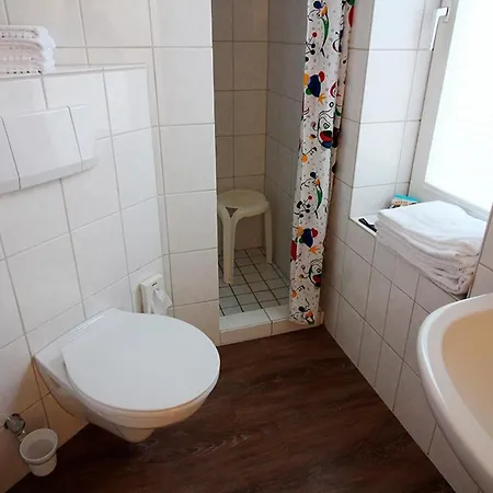 Zaunkönig Bliesdorf