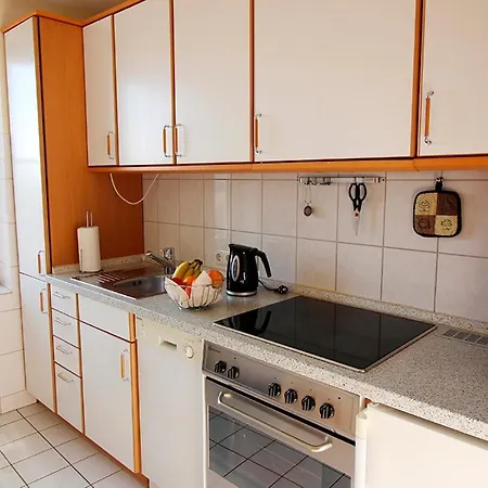 Zaunkönig Bliesdorf