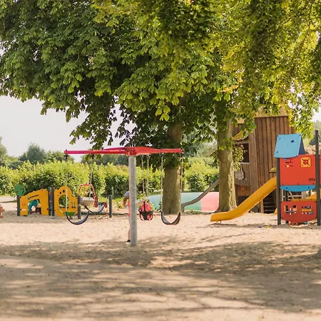 Zaunkönig Bliesdorf