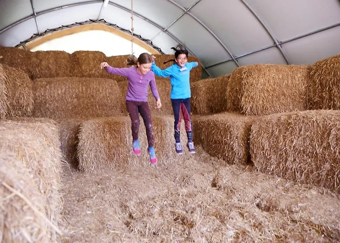 Zaunkoenig Appartement *