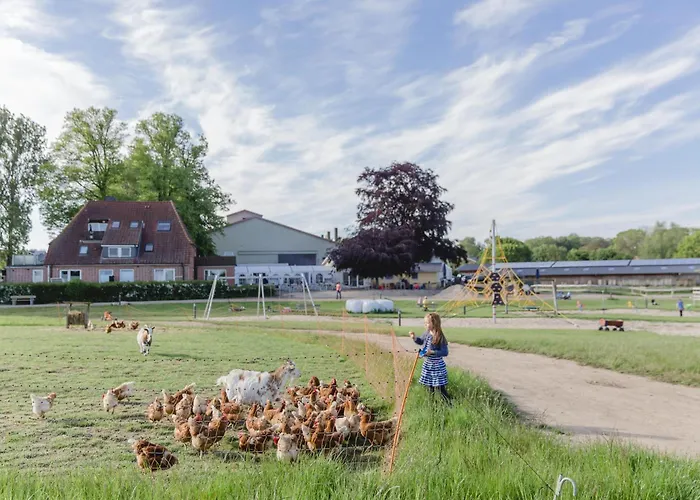 Zaunkoenig * Bliesdorf